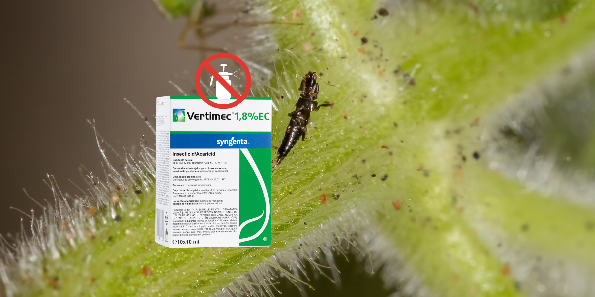 Retragerea insecticidului-acaricidului Vertimec: alternative si solutii