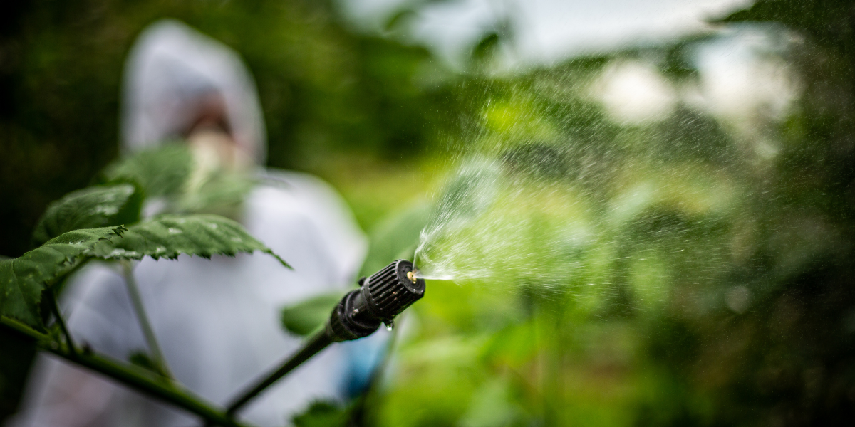 Karate Zeon si Vertimec: insecticide pentru protectie completa