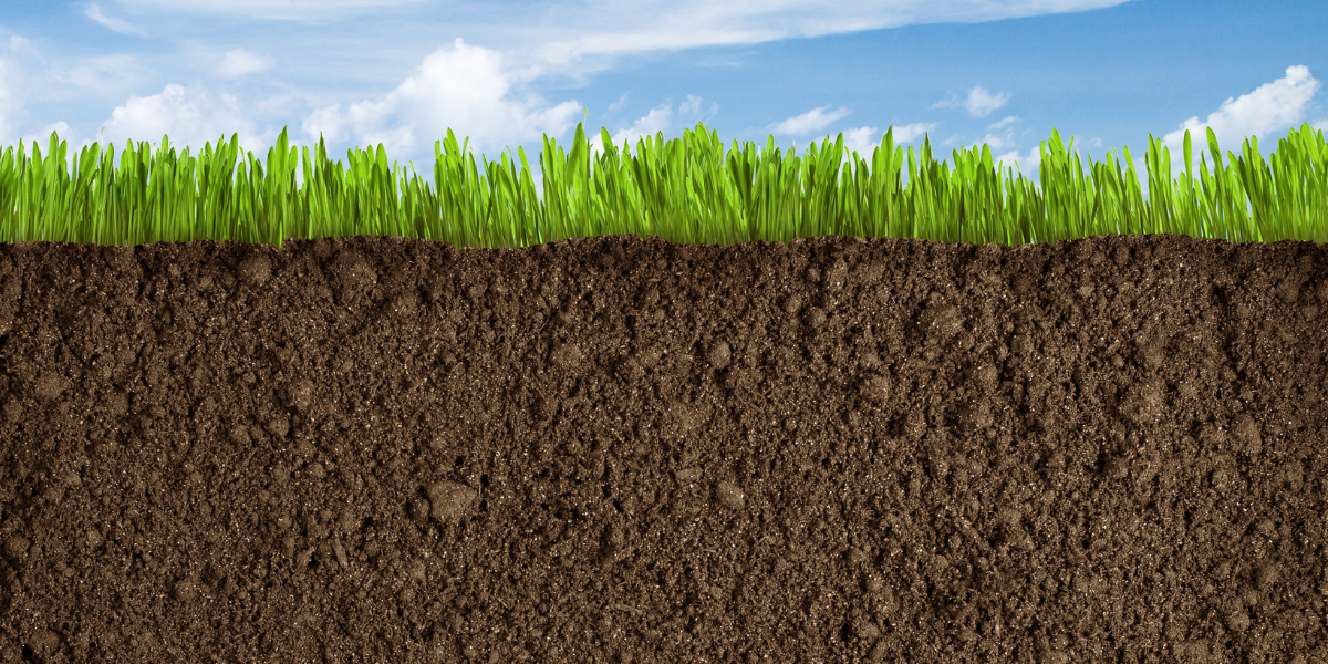 Dezinfectia solului: cheia recoltelor prospere