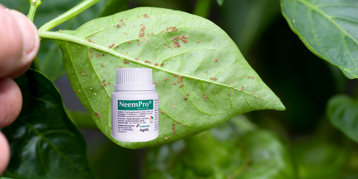  NeemPro: insecticid biologic din Neem pentru culturi horticole
