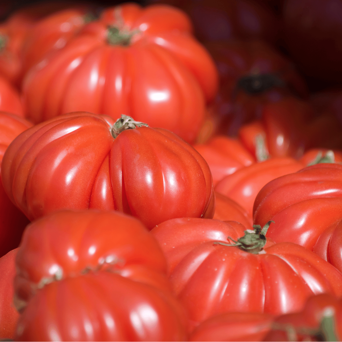 Semințe tomate Inimă de Bou