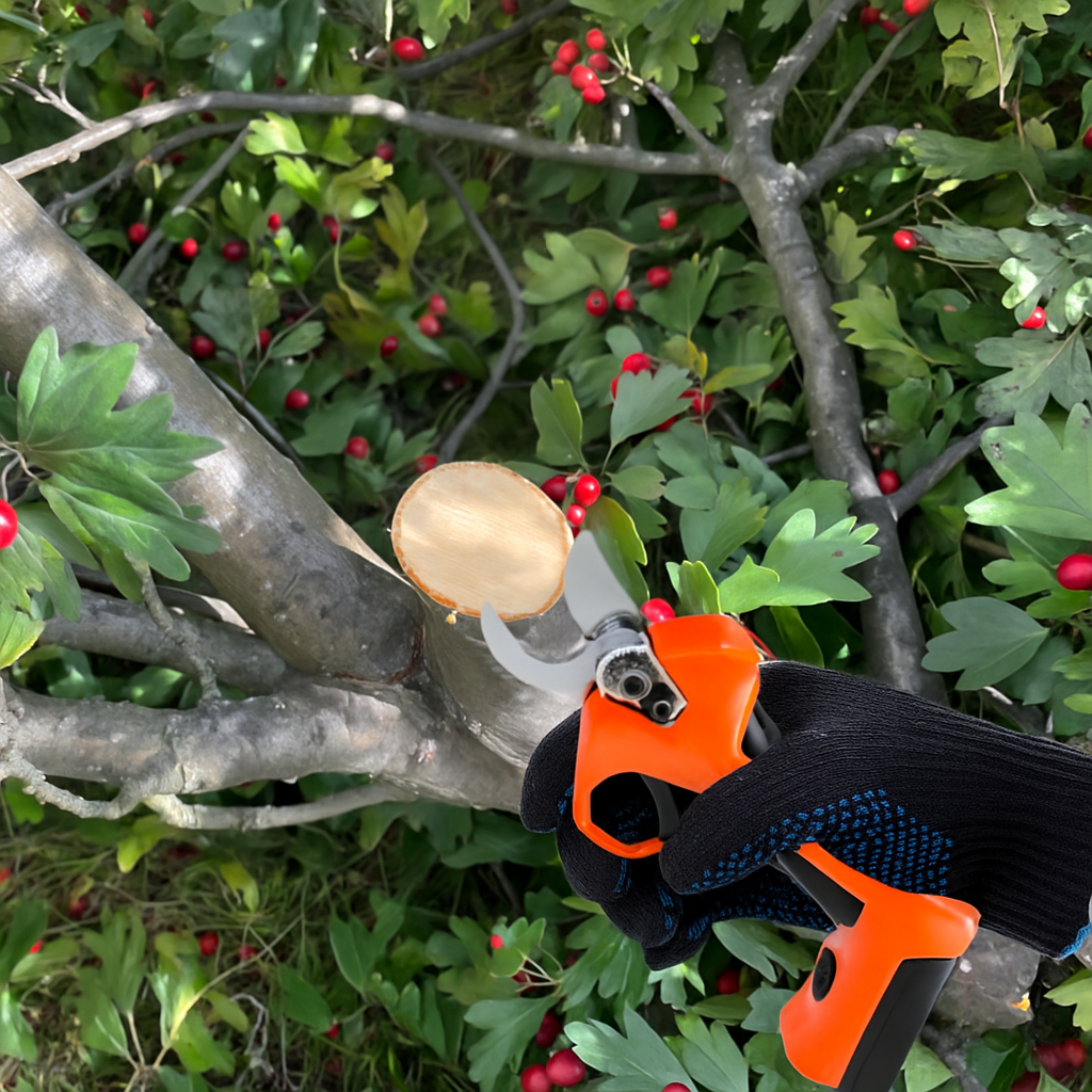 Foarfecă electrică 16V 2x2Ah, 25 mm